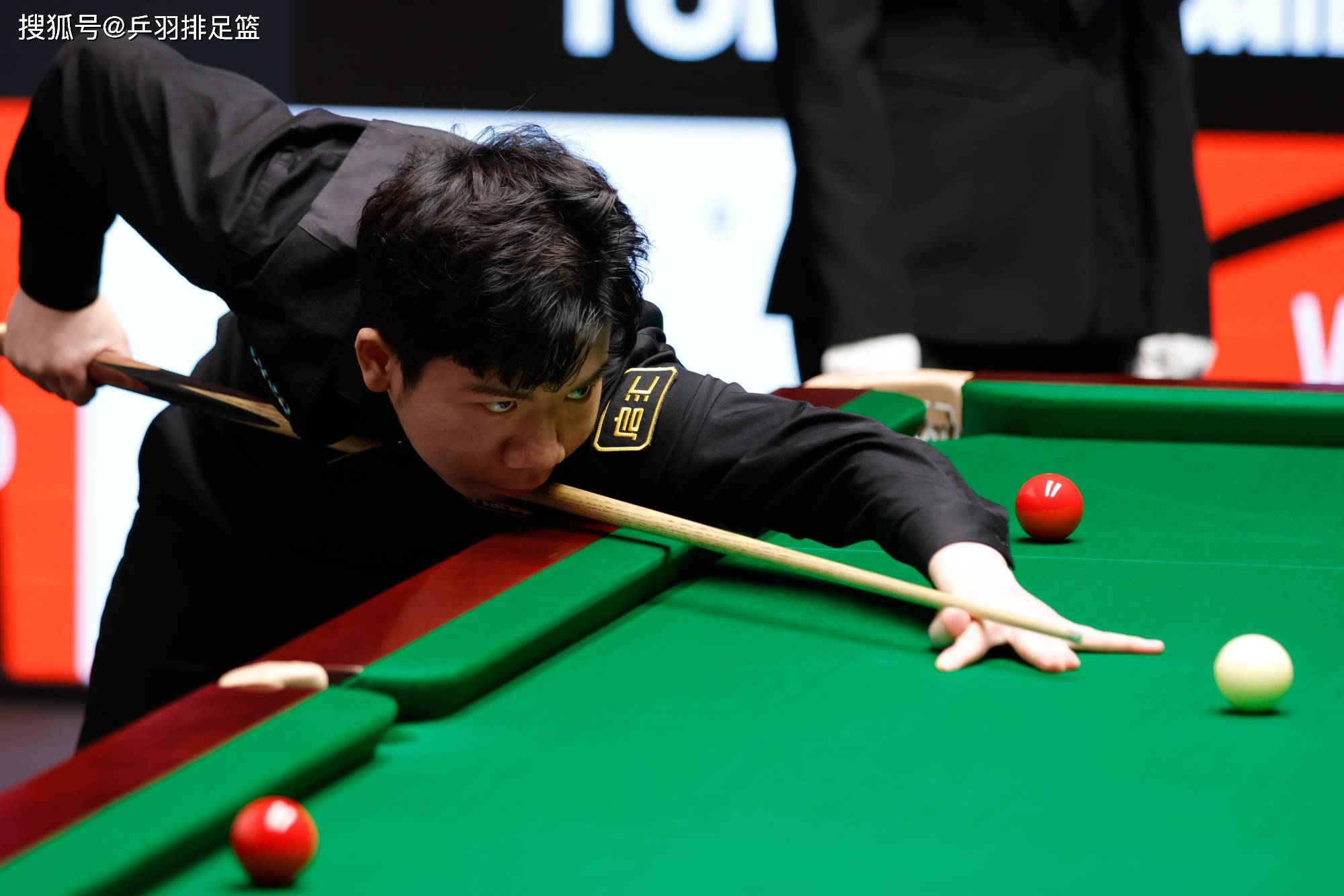 为德约科维 为德约科维