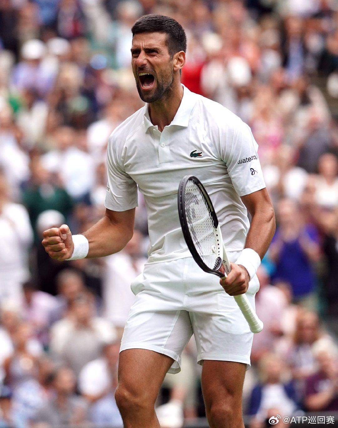 到黄金比例 到黄金比例